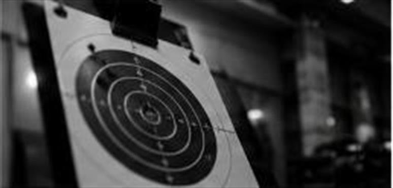10m Paper Target Bullseye